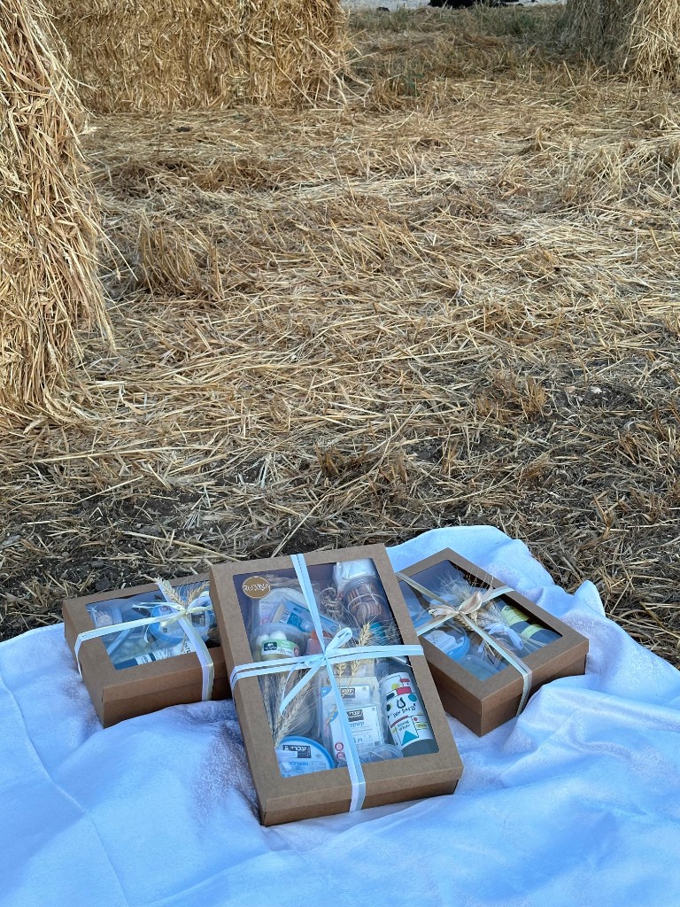 מארזי גבינות ויין על רקע שדה חיטה